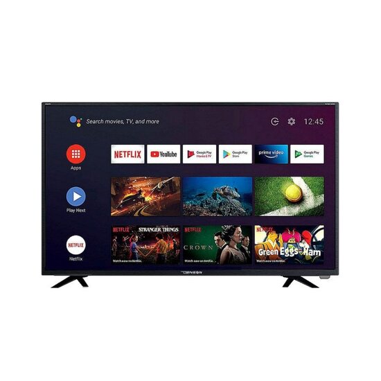 Denson DEN22TV SMART 22inch LED TV CD fastscan